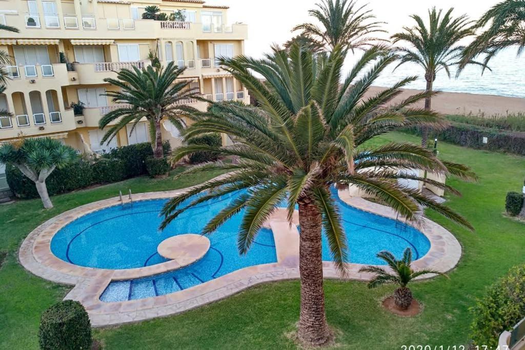 Estupendo Apartamento En Primera Linea De Playa Y Con Vistas Al Mar เดเนีย ภายนอก รูปภาพ